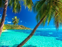 Voyage sur-mesure polynesia