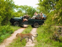 Voyage sur-mesure africa