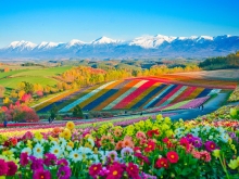 Voyage sur-mesure japan